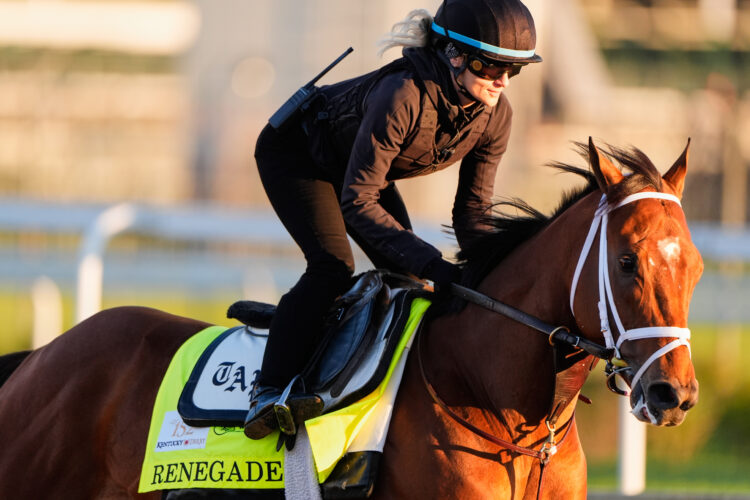 The 152nd Kentucky Derby is a 20-horse puzzle